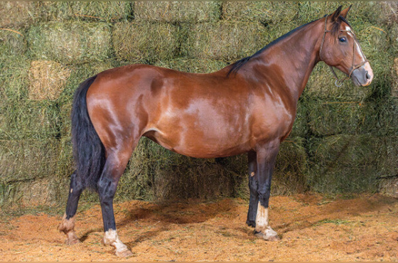 QUE GUAPA DA TUNEIRA