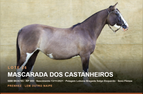 MASCARADA DOS CASTANHEIROS