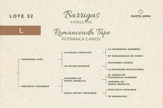 ROMANCEADA TAPE