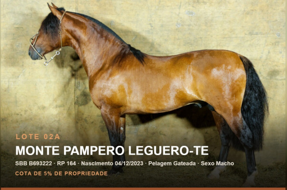 MONTE PAMPERO LEGUERO-TE (Venda vertical cota de 5%)