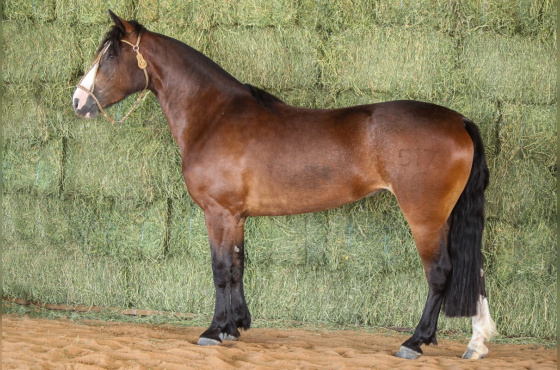 RE ÚLTIMA CARTA MARCADA