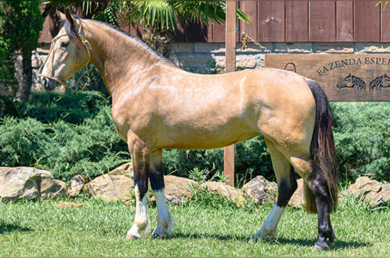 HONROSA DE LAS BUENAS