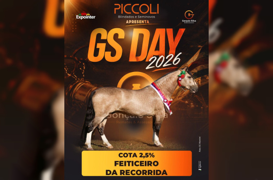 FEITICEIRO DA RECORRIDA - Cota de 2,5% (4° Melhor Potranco Expointer 2026)