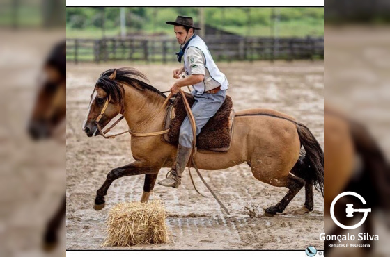 HILARIO DA DON MANOEL