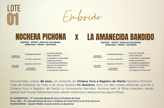 NOCHERA PICHONA X LA AMANECIDA BANDIDO - Venda de embrião