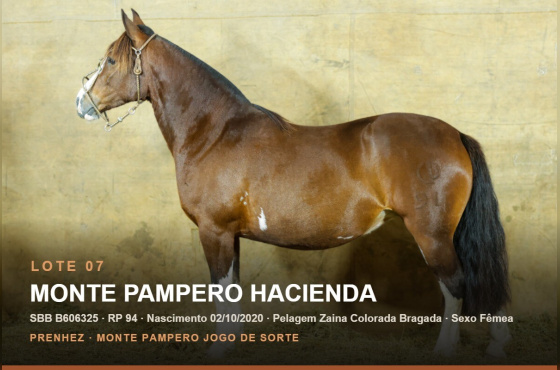 MONTE PAMPERO HACIENDA