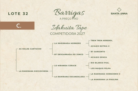 IDAHUITA TAPE