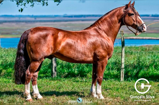 SANTA ALICE NUBLADO II OU SANTA ALICE POSTEIRO