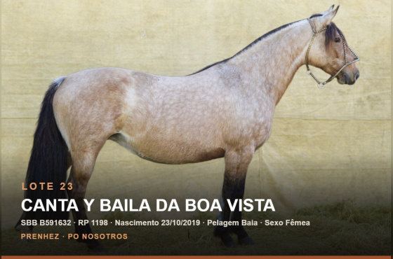 CANTA Y BAILA DA BOA VISTA
