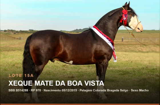 XEQUE MATE DA BOA VISTA - (Venda vertical direito de uso)