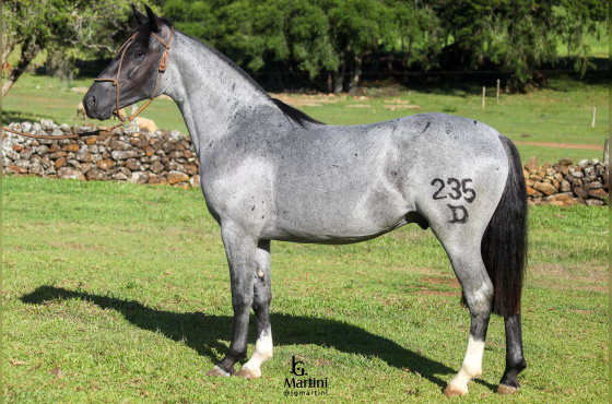 XERIFE DA SÃO JOÃO DO BURITY