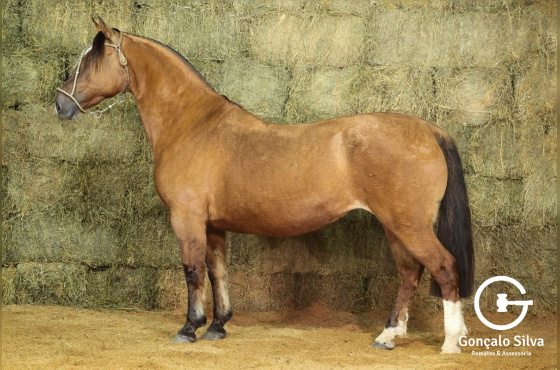 NASCENTE DA CABANHA SANTA FÉ