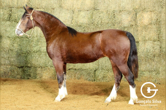 RE UMA E OUTRA (VENDA VERTICAL)