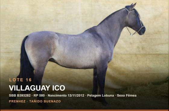 VILLAGUAY ICO 