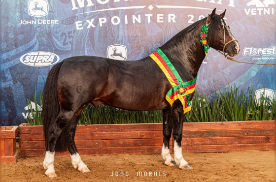 MARTIN FIERRO DO ITAO 