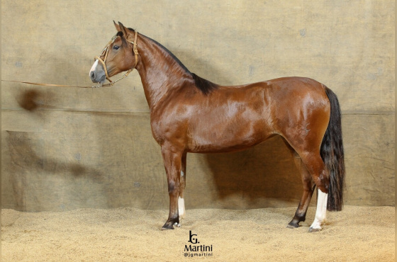 NUESTRA HISTÓRIA DA RECORRIDA 