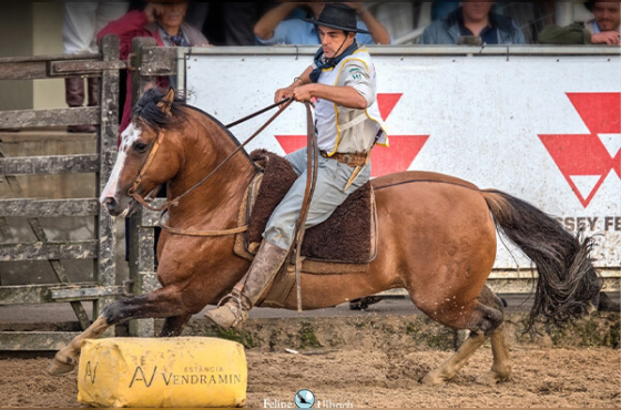DIREITO DE USO ABRAÇO DO CAMBOIM