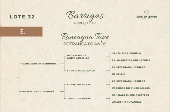 RANCAGUA TAPE