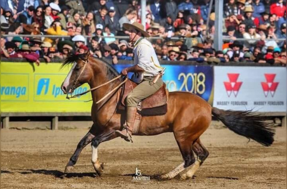 FICHEIRO DO CAPÃO REDONDO 