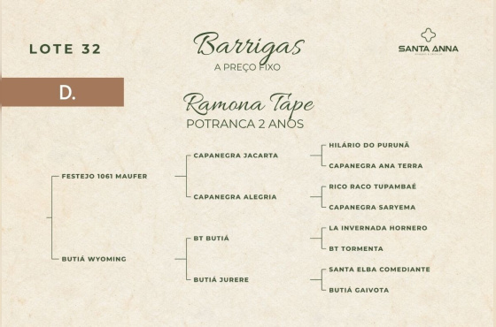 RAMONA TAPE
