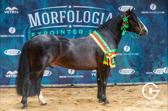 PATRÃO CAVALERA - COTA DE 5%