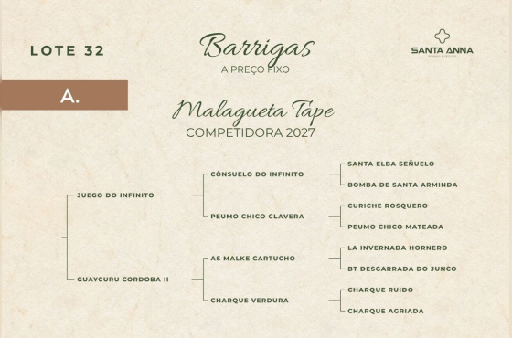 MALAGUETA TAPE