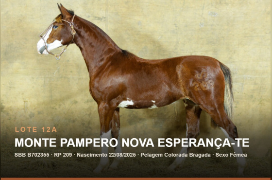 MONTE PAMPERO NOVA ESPERANÇA-TE - (Venda de 50%  vertical)