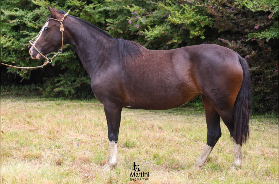 UBALDINA DO CAÇADOR 