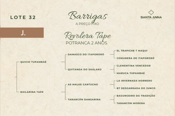REVOLERA TAPE