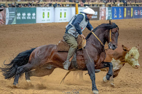DIREITO DE USO JUSTICEIRO 111 DO IMAGUARE