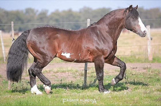 COTA 5% RICO DA LAGOA SECA