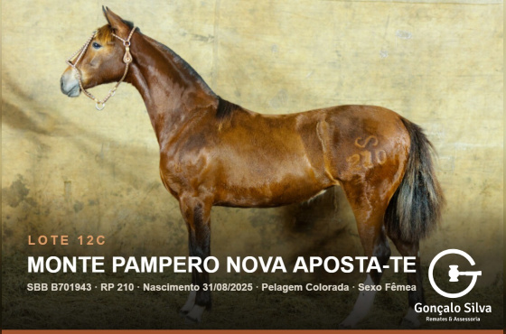 MONTE PAMPERO NOVA APOSTA-TE - (Venda vertical)
