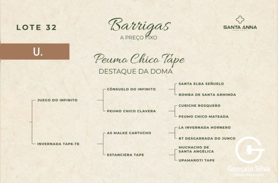 PEUMO CHICO TAPE