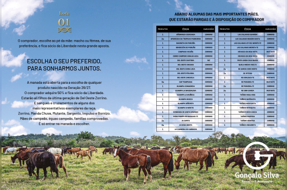 GERAÇÃO 26/27