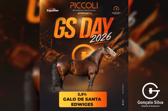 GALO DE SANTA EDWIGES - Cota de 2,5%