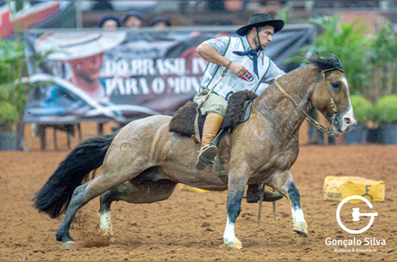 LEOPARDO DA GAP SÃO PEDRO - TE