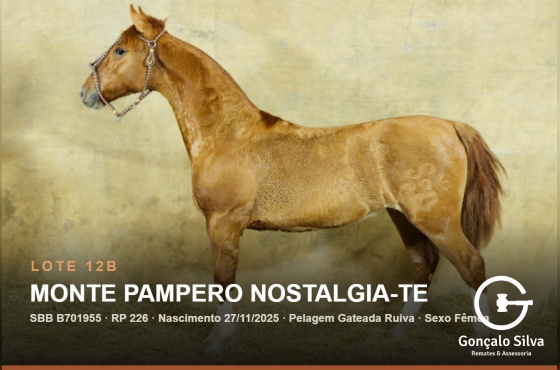 MONTE PAMPERO NOSTALGIA-TE - (Venda de 50% vertical)