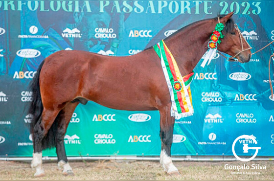 FINANCEIRO TUPAMBAÉ