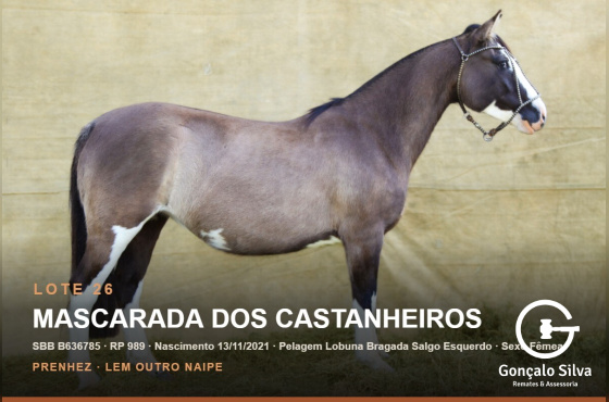 MASCARADA DOS CASTANHEIROS