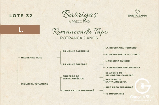 ROMANCEADA TAPE