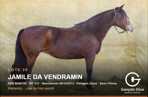 JAMILE DA VENDRAMIN
