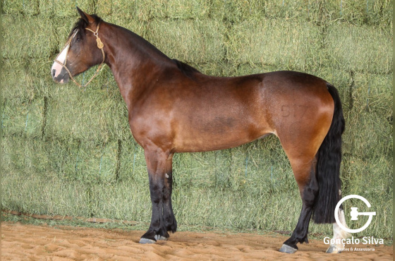 RE ÚLTIMA CARTA MARCADA