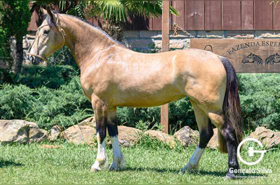 HONROSA DE LAS BUENAS