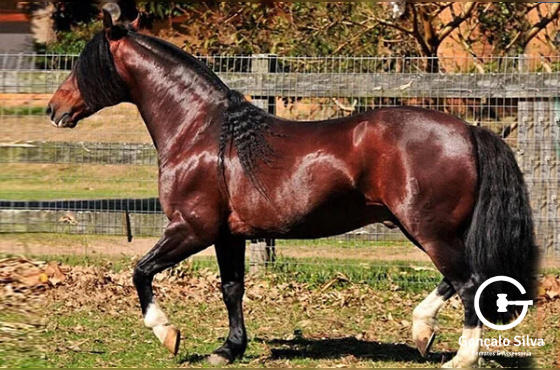 AQUI ESTOY DE SANTA JOVITA 