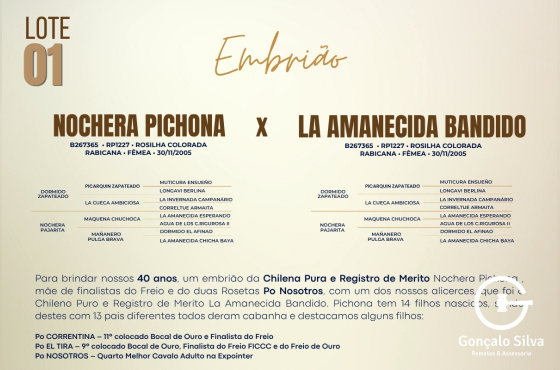 NOCHERA PICHONA X LA AMANECIDA BANDIDO - Venda de embrião