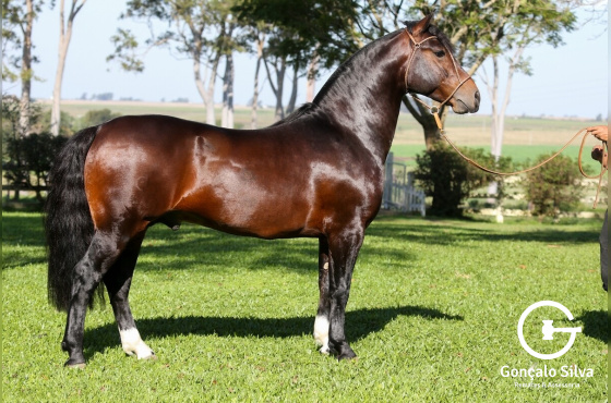 AS MALKE HECHO A MANO 