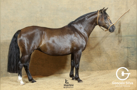 HAY TORMENTA DA RECORRIDA 