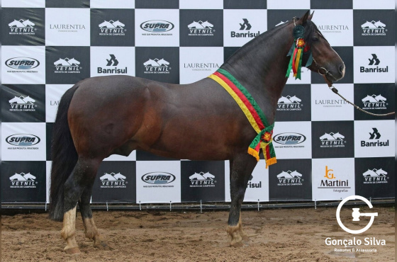 ESQUIVADO CALA BASSA