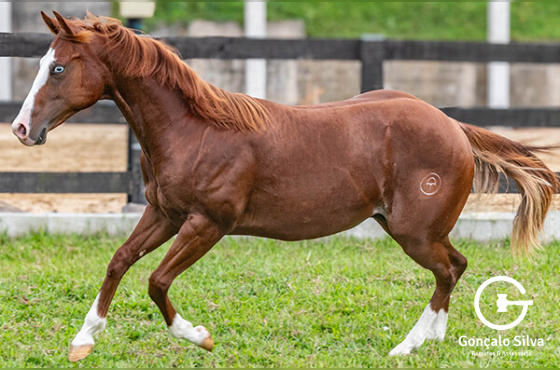 ALABAMA ROSTERS CTMC