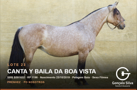 CANTA Y BAILA DA BOA VISTA